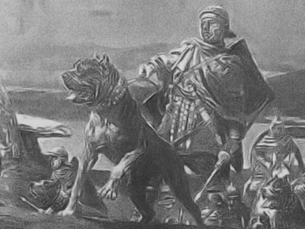 historia del mastin italiano