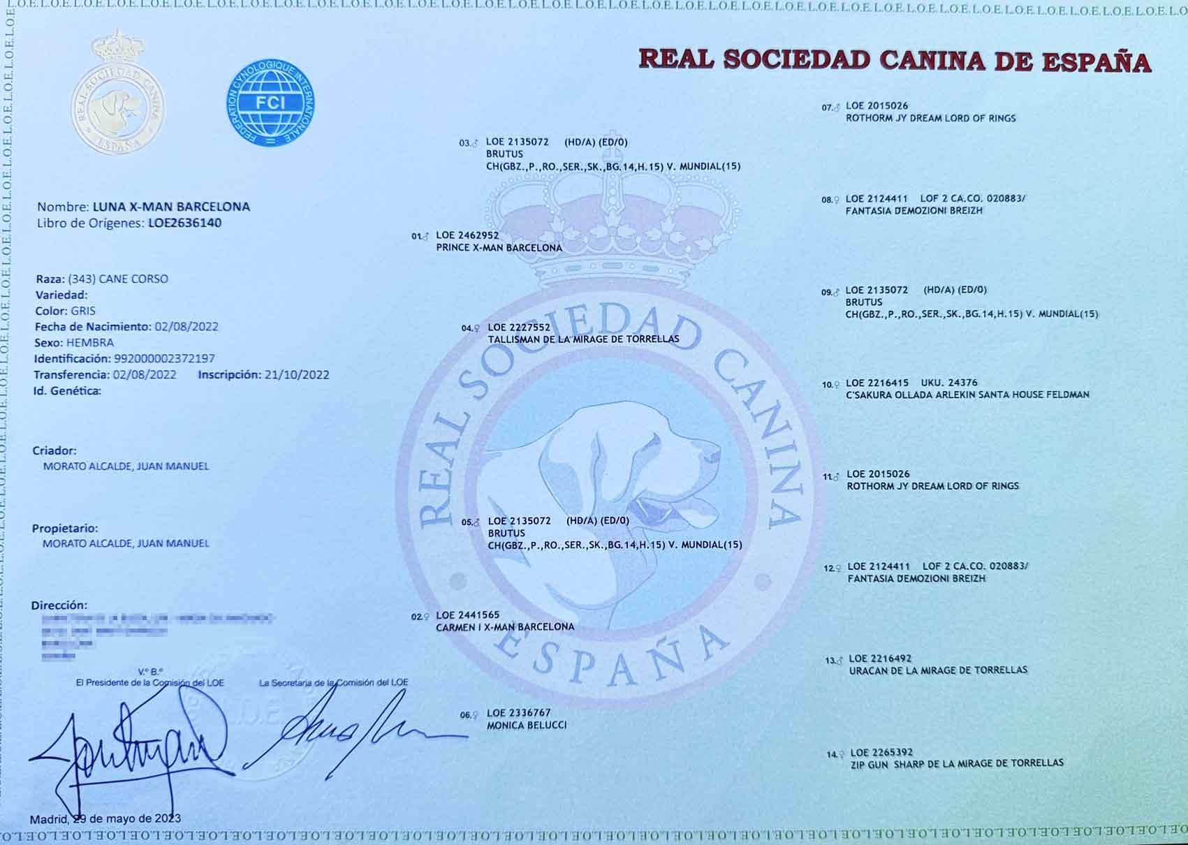 curso-de-astrologia-profesional-barcelona-tecnicas-avanzadas